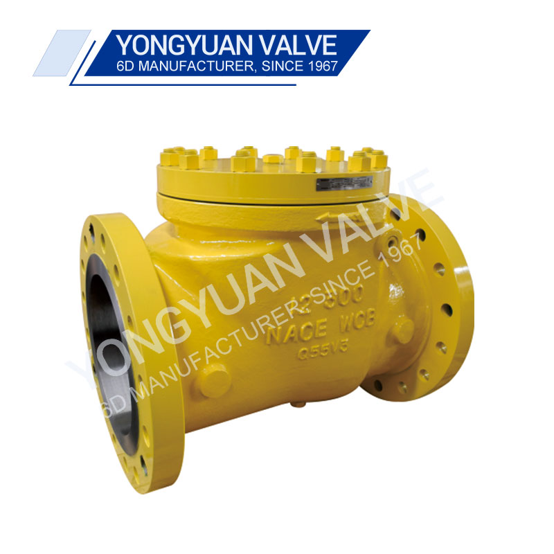 API 6D Flanged Swing Check Valve